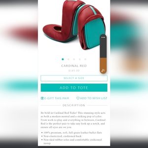 Tieks Size 10 like new